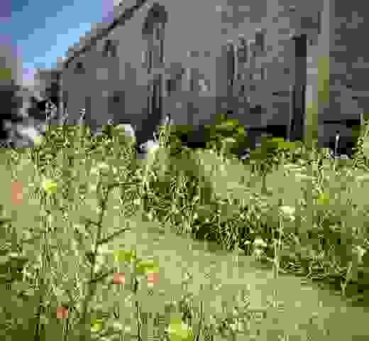 Eco Church